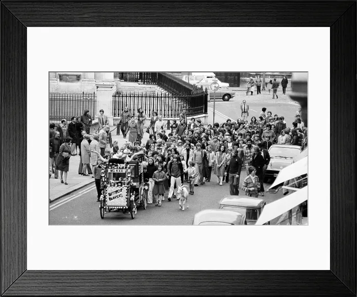 Framed Print : Snowy Farr Framed Print : Snowy Farr
