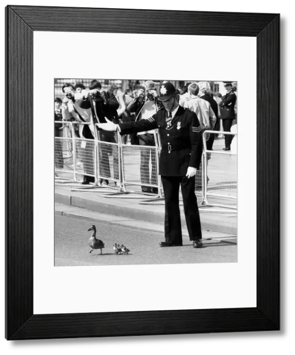 Framed Print : PC Hugh Stone Framed Print : PC Hugh Stone