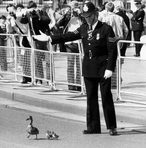 1980s Prints: PC Hugh Stone