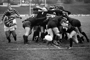 Sport Prints: Tigers v Wasps, 1985